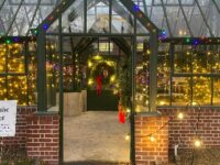 Festival of Trees returns for holidays