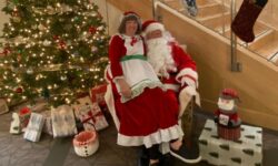<strong>Walpole JWCW hosts Festival of Trees</strong>