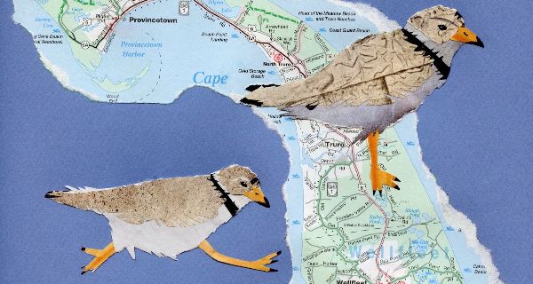 Art lovers flock to ‘Navigating Flight’