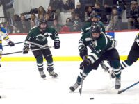 Wolverine’s falls against Mustangs