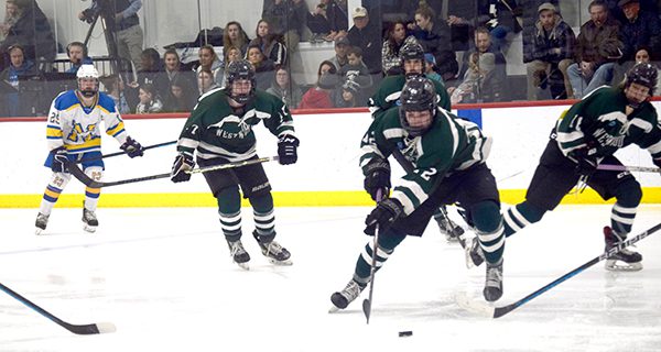 Wolverine’s falls against Mustangs