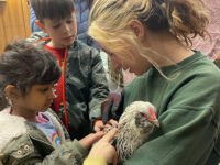 <strong>An egg-celent farm visit at NFPL</strong>