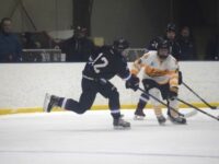 Boys hockey secures sweet 16 spot