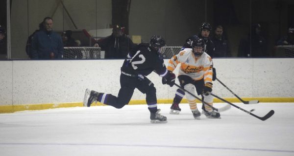 Boys hockey secures sweet 16 spot