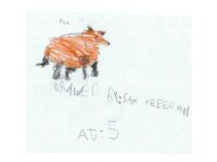A Backyard Chronicle: Red Fox