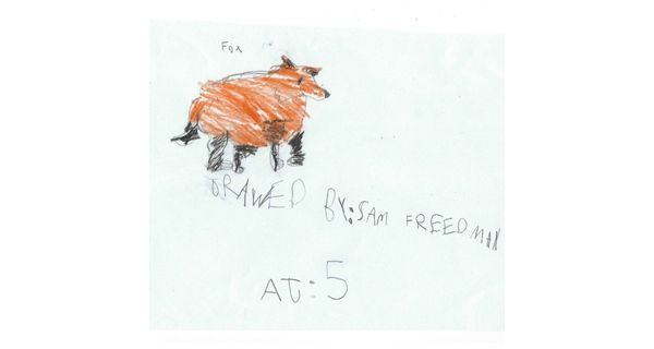 A Backyard Chronicle: Red Fox