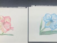 COA drawings welcome spring