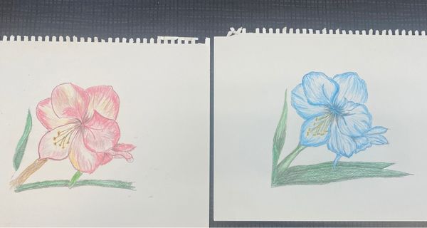 COA drawings welcome spring