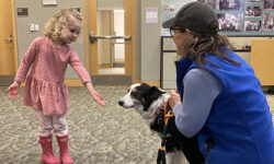 <strong>Shelter dog wags at WPL </strong>