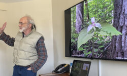<strong>COA learns wildflowers with Ted Elliman </strong>