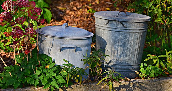 <strong>Town-Wide litter cleanup announced</strong>