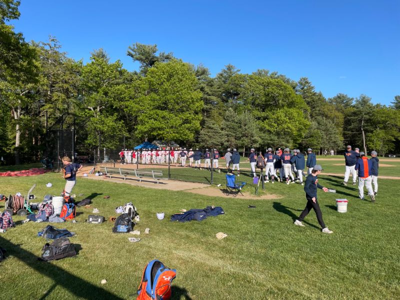 Timberwolves come alive just in time