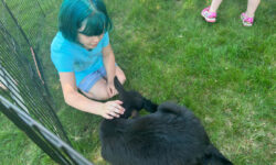 Fun at the Craft Fair