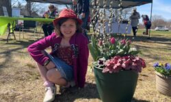 Needhamites celebrate 40th annual Pansy Day