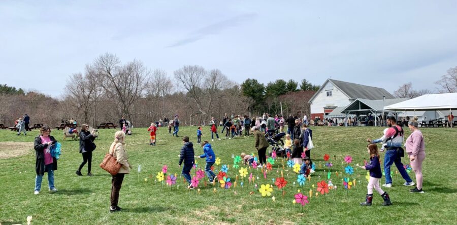 Pizza party at Powisset Farm