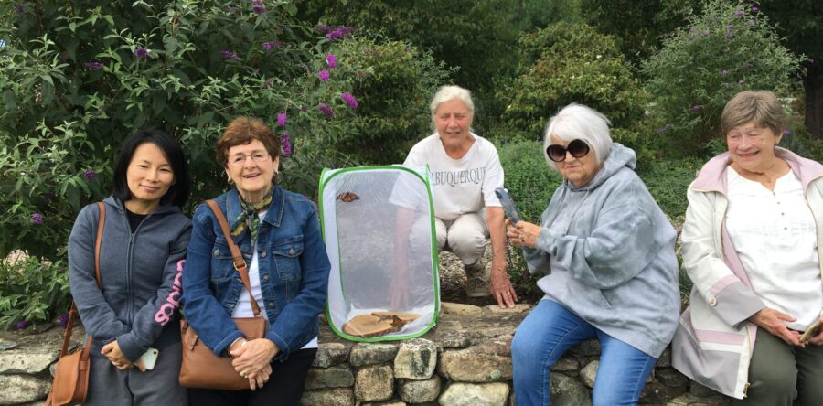The Westwood Garden Club returns