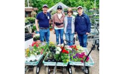 Garden Club brings beauty to patio