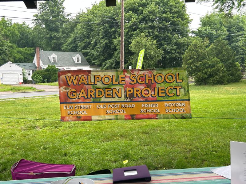 The history of Walpole School Garden Project