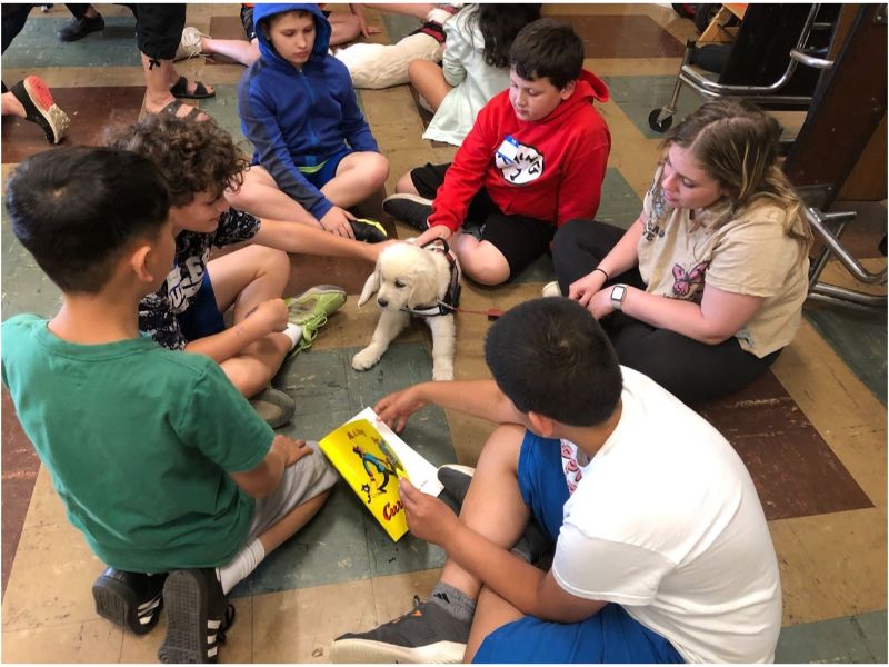 Students learn about service dogs