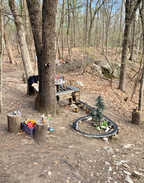 Hidden gem in Needham Town Forest