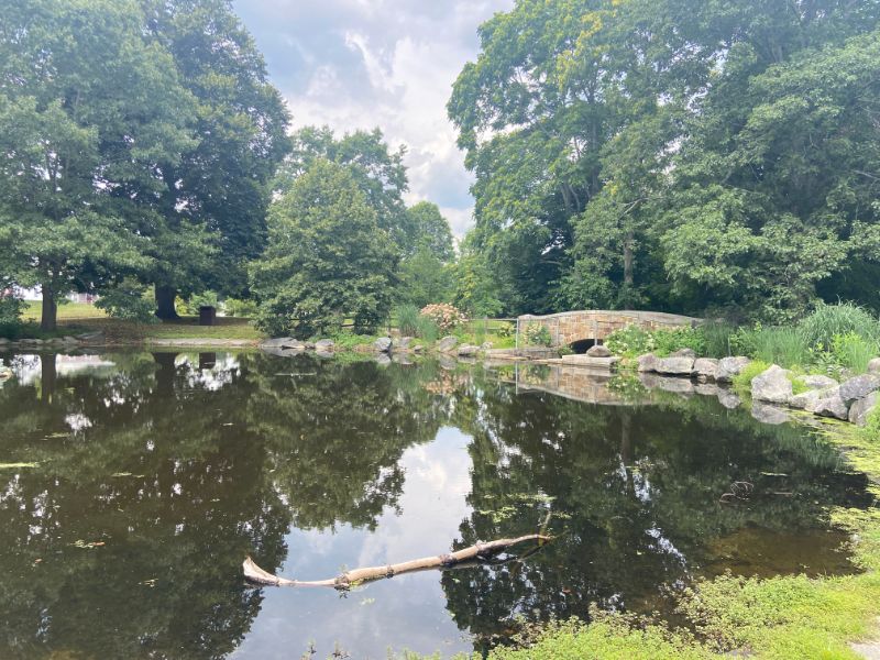 Bird Park: local paradise