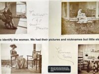 Island adventures at DTL