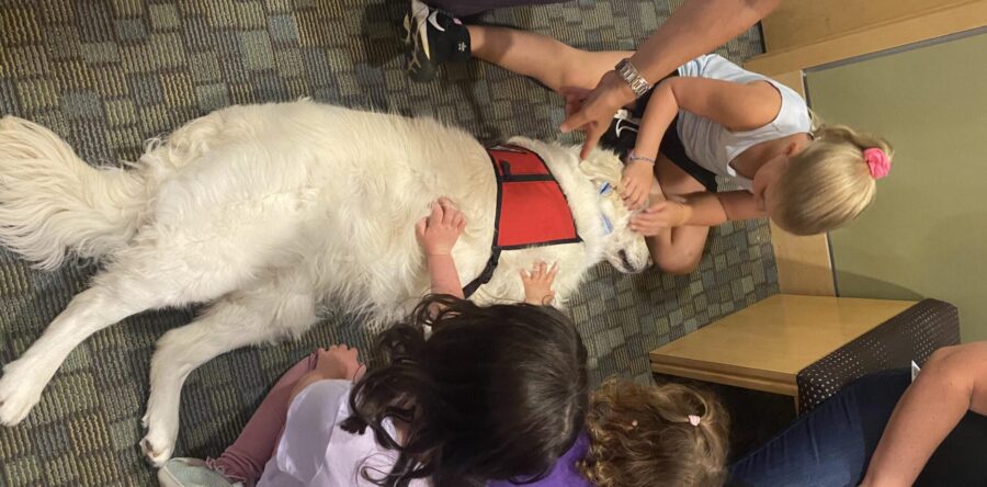 Dog Days of Summer at WPL