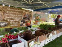 Sunday funday at Needham Farmers Market