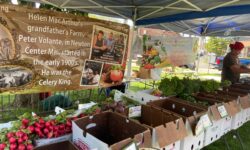 Sunday funday at Needham Farmers Market