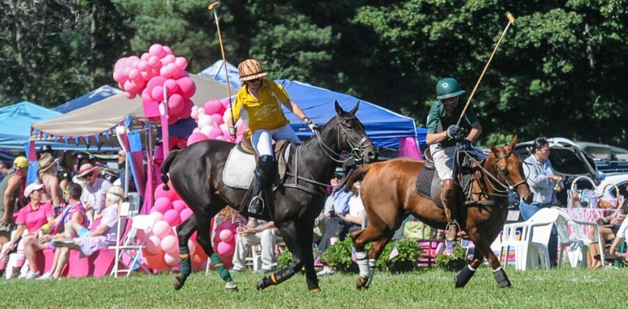 20th Annual Polo in the Country