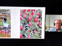 DTL ventures to the Netherlands and Belgium