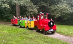 Fun at the Apple Fall Harvest Fair