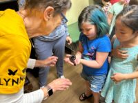 Entomology entertainment at the DTL