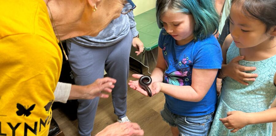 Entomology entertainment at the DTL