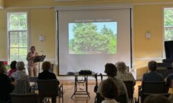 Fallscaping at The Center