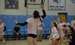 Warriors volleyball digs pink