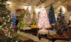 More than a Festival of Trees