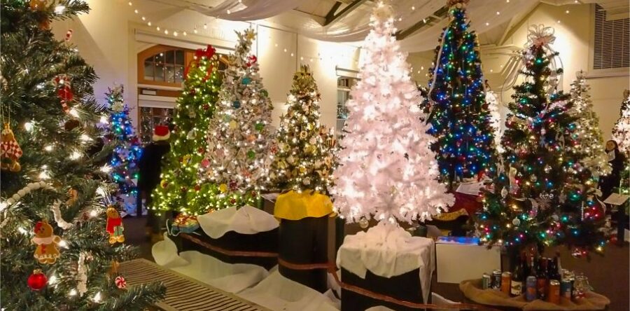 More than a Festival of Trees