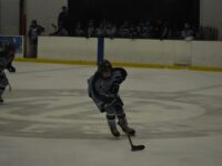 Girls’ Hockey falls to Timberwolves
