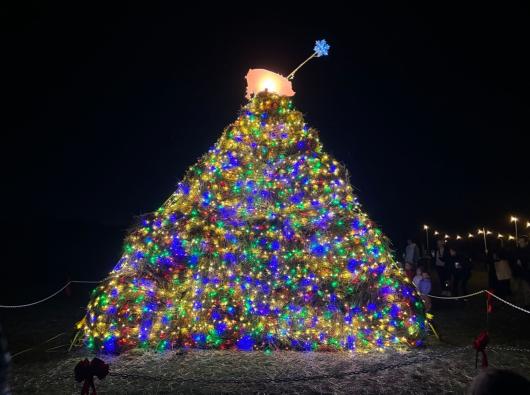 Powisset Farm hosts Haybale Tree Lighting