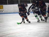 Timberwolves girls’ hockey faces defeat