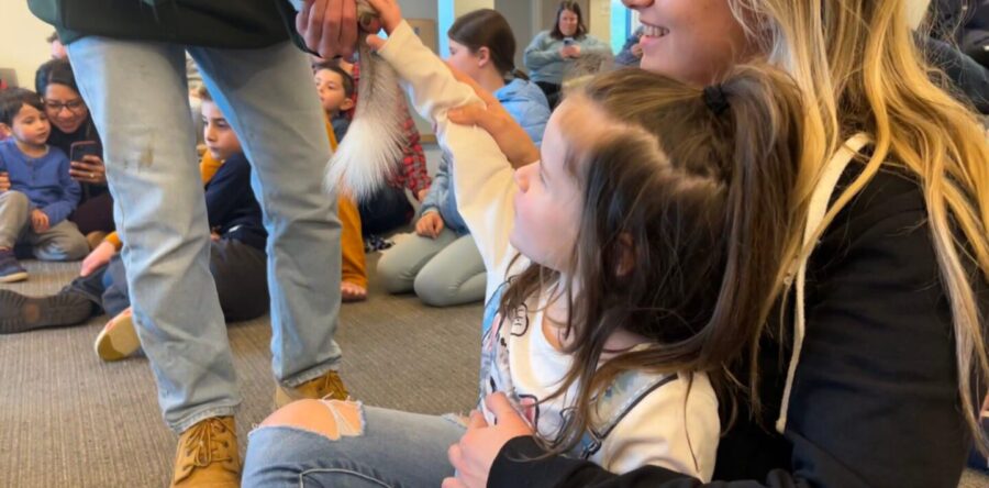 Animals adventure to Sherborn Library