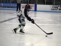 Girls’ hockey triumphs over Timberwolves