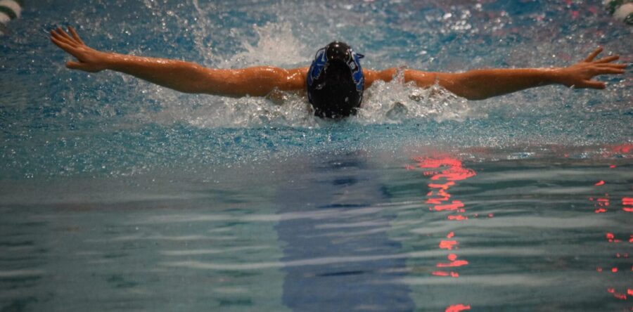 Swim Team dives and conquers