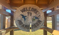 Walpole Trails hosts First Day Hike