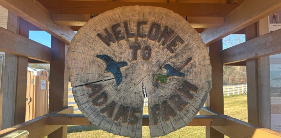 Walpole Trails hosts First Day Hike