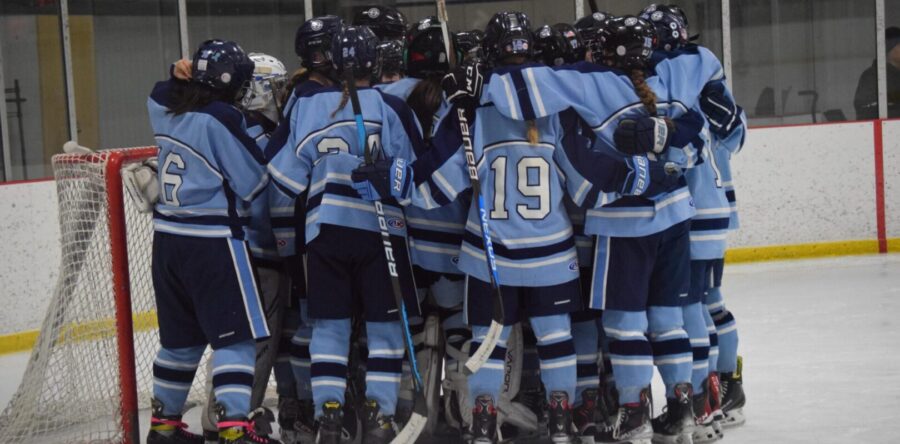 Girls’ hockey falls short to Wolverines