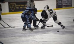 Wolverines’ seize TVL Championship