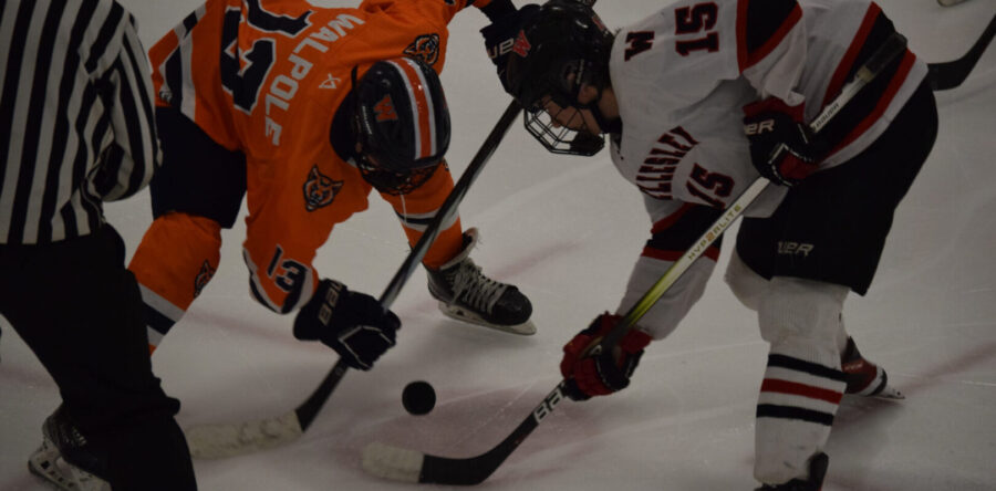 Timberwolves fall to Wellesley