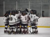 Girls’ hockey playoff shutout